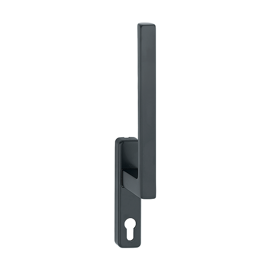 Toulon double lever handle