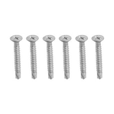 Screws for LS carriage (6-pk) sst